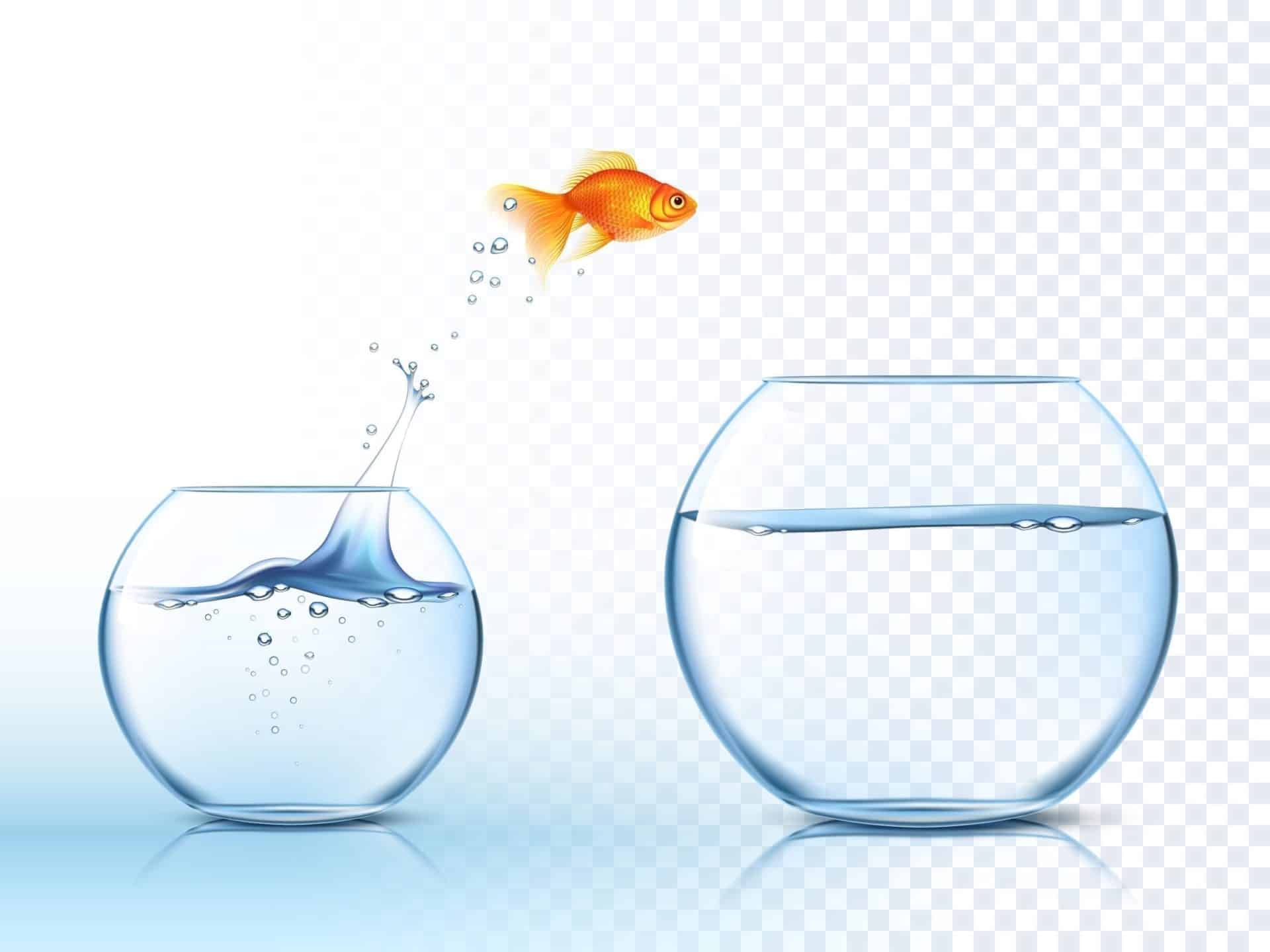 the 5-Second Rule for Marketing