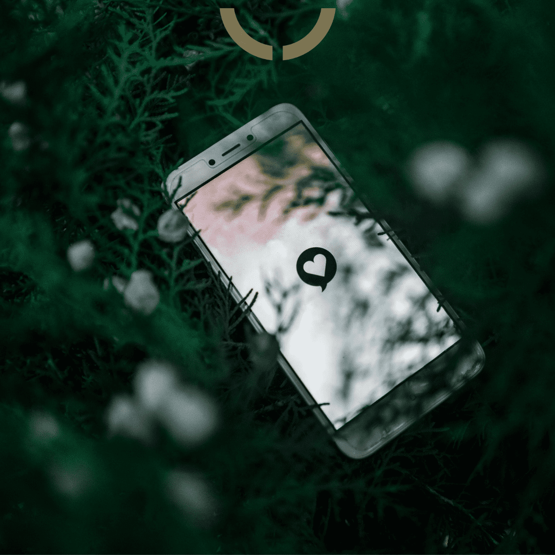 Cellphone in bushes with Instagram screen